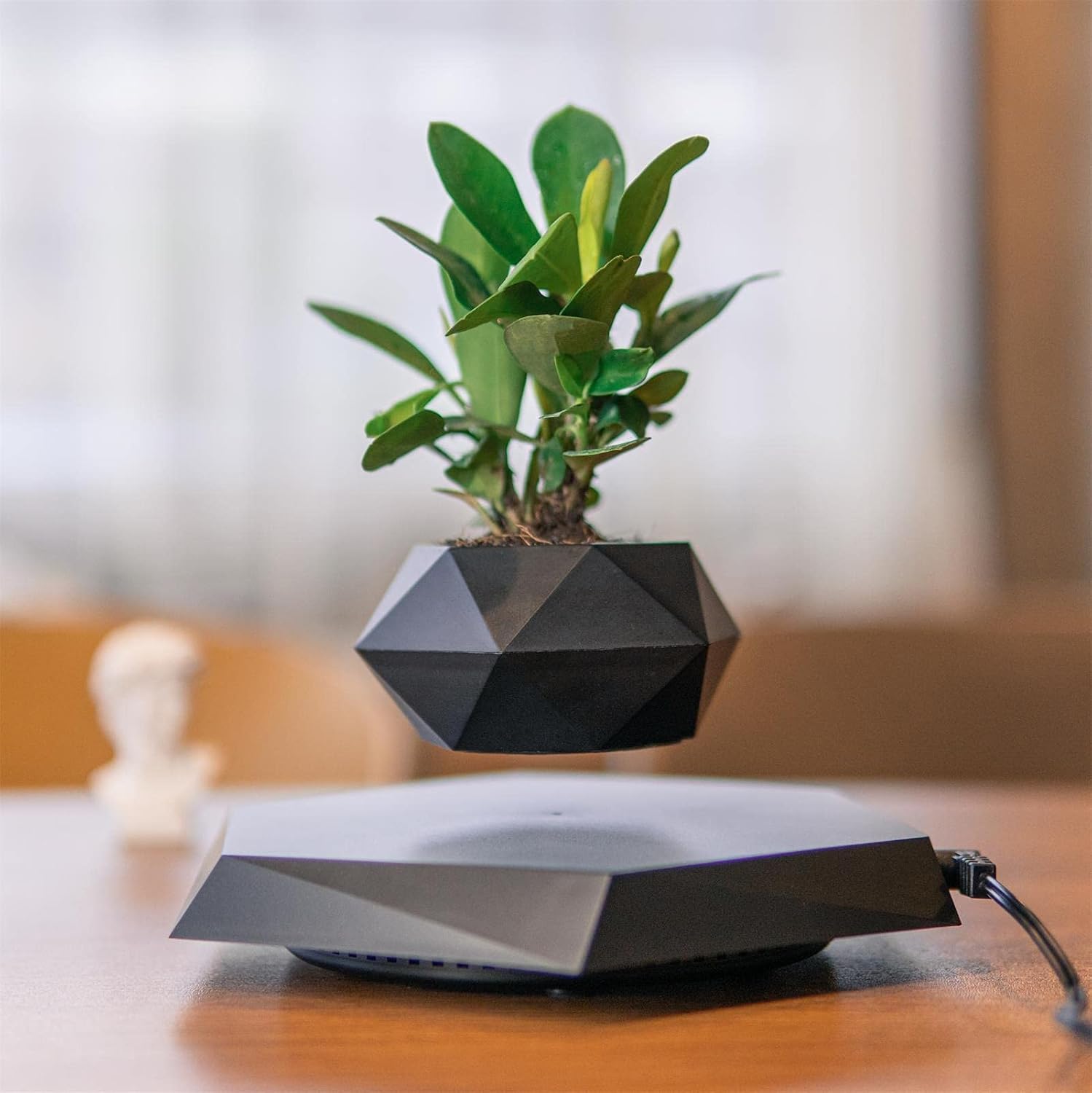 Levitating Magnetic Plant Pot